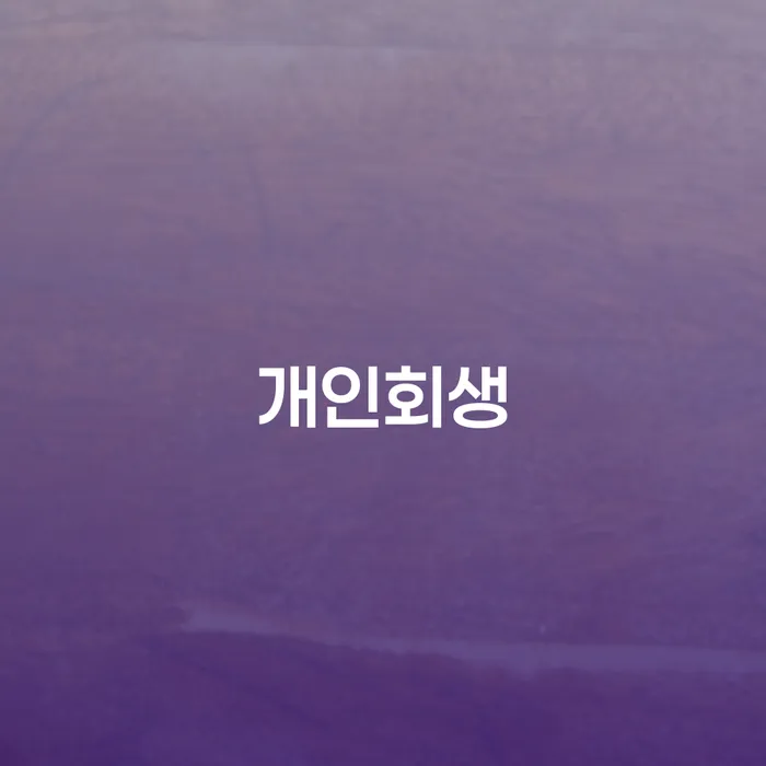 개인회생신청절차 채무조정제도을 이용하여 어떻게