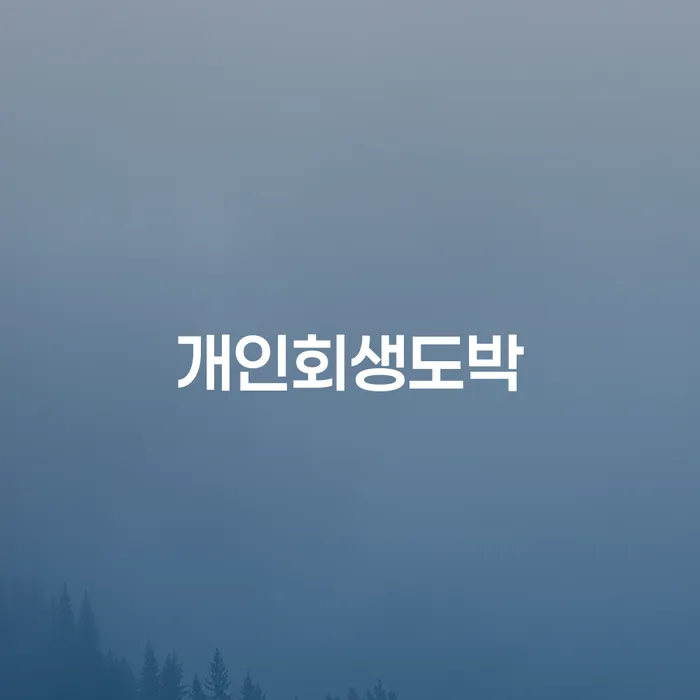회생전문변호사 카드빚 연체 확인하자