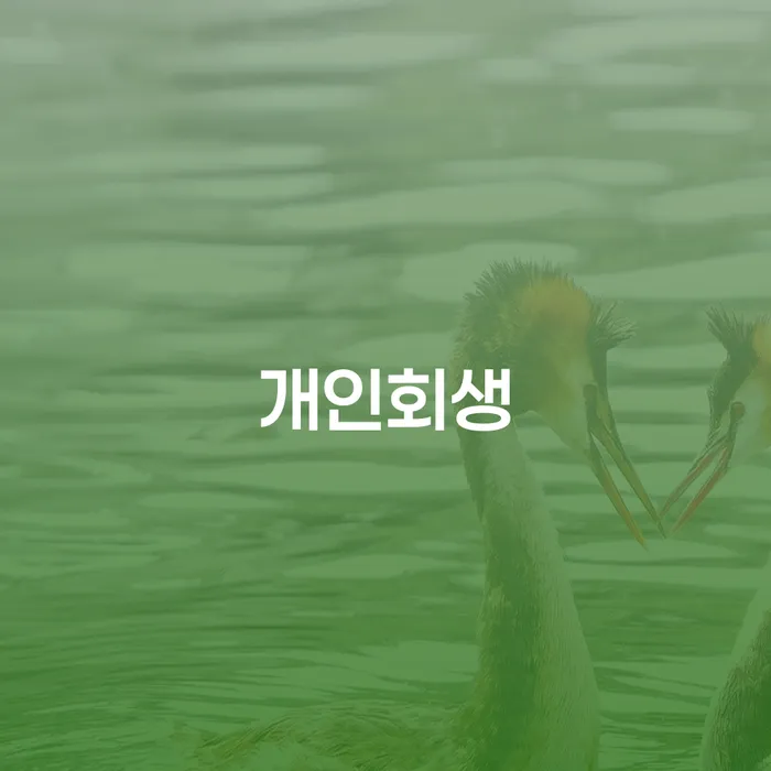무료파산신청 빚청산 장점을
