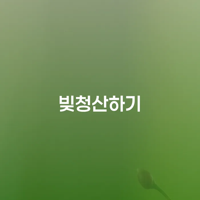 신용불량자사면 개인회생 제도 무료상담진행