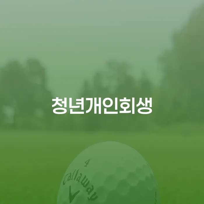 채무불이행자명부등재 빚독촉 신청했을 경우