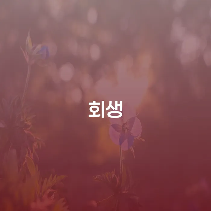 개인회생법무사비용 합리적이고 개인회생으로 방법 선택해야 하는