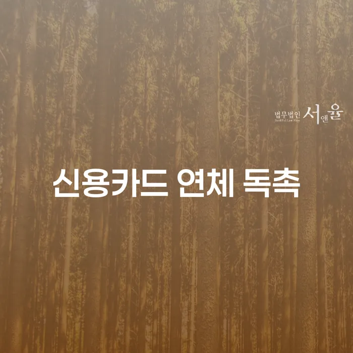 신용카드 연체 독촉, 궁극적으로 어떻게 대처할 수 있을까요?